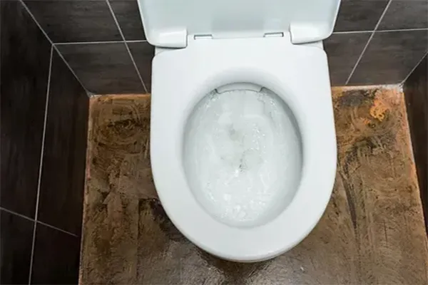 Desentupimento de Vaso Sanitários em Mongaguá